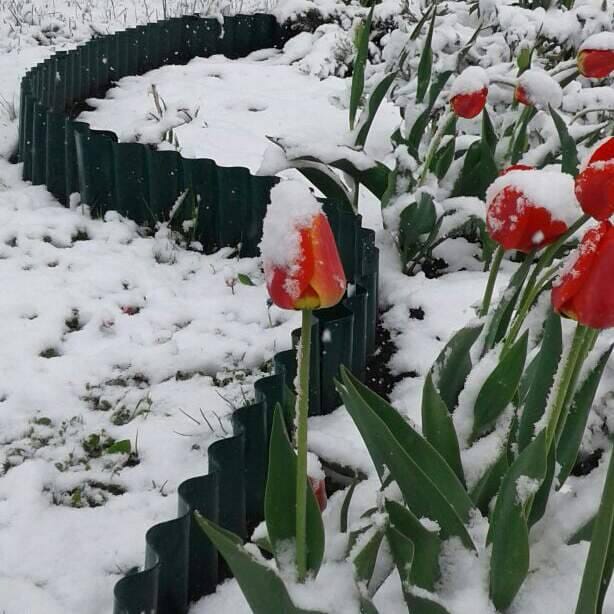 Ограждение грядки Волна зимой в Чебоксарах