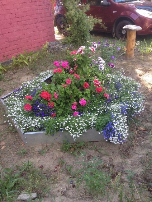 Клумба "Сота" 400 оцинкованная в Чебоксарах